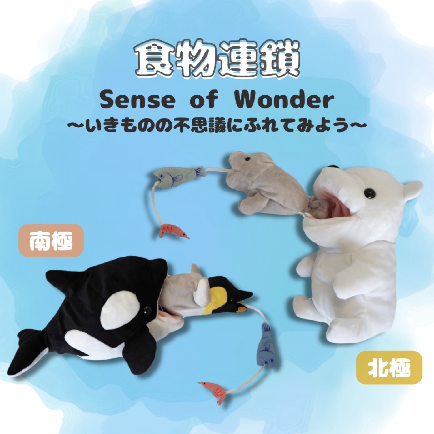 ミュージアムショップ ヴィア Sense of wonderシリーズ～食物連鎖