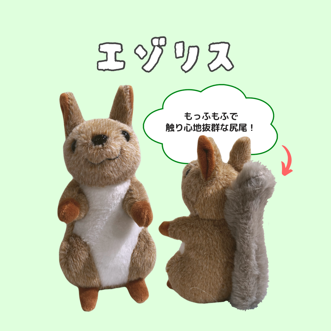 未開封][限定]北海道札幌市懸賞 えぞリス ぬいぐるみ 2体セット