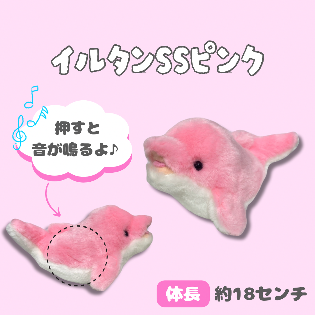 イルカ　ソイネショップ ミュージアムショップ ヴィア 音が出る♪イルカのぬいぐるみ