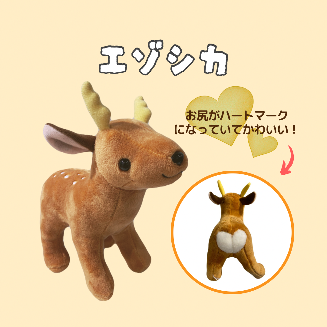 ミュージアムショップ ヴィア 北海道限定！！エゾシカのぬいぐるみ