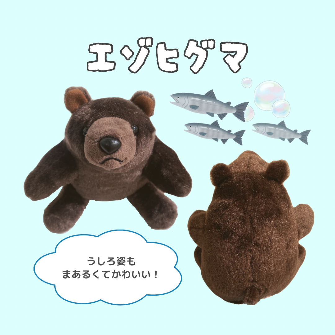 ミュージアムショップ ヴィア 北海道限定！！エゾヒグマのぬいぐるみ