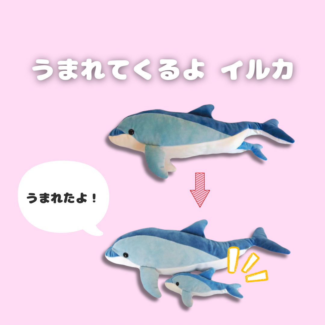 ミュージアムショップ ヴィア こどもが産まれてくる！？イルカの