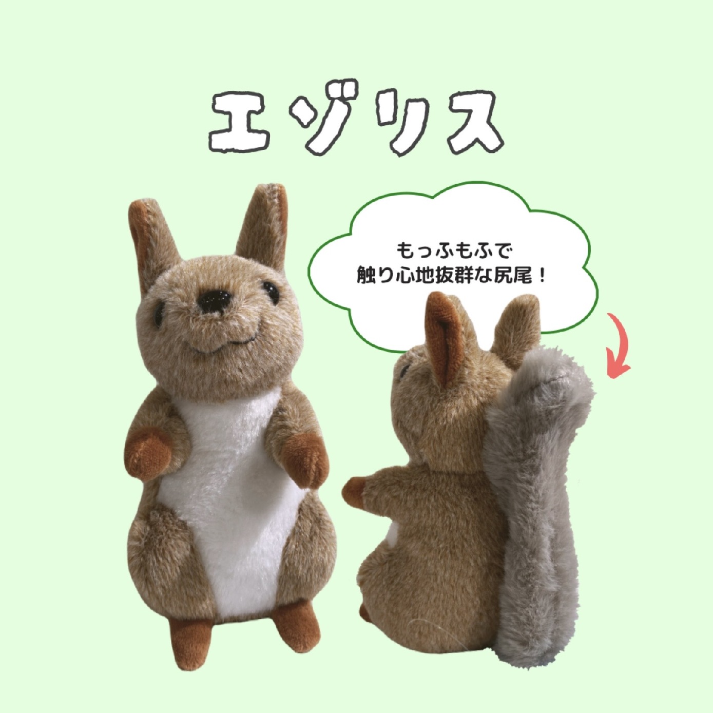 ミュージアムショップ ヴィア 北海道限定！！エゾリスのぬいぐるみ