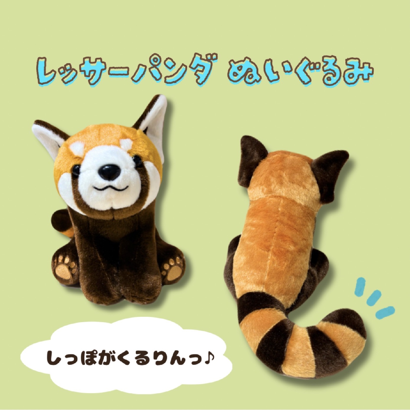 レッサーパンダ ぬいぐるみ B 海外限定 ミュージアムショップ ヴィア ちょこんとお座り♪レッサーパンダの