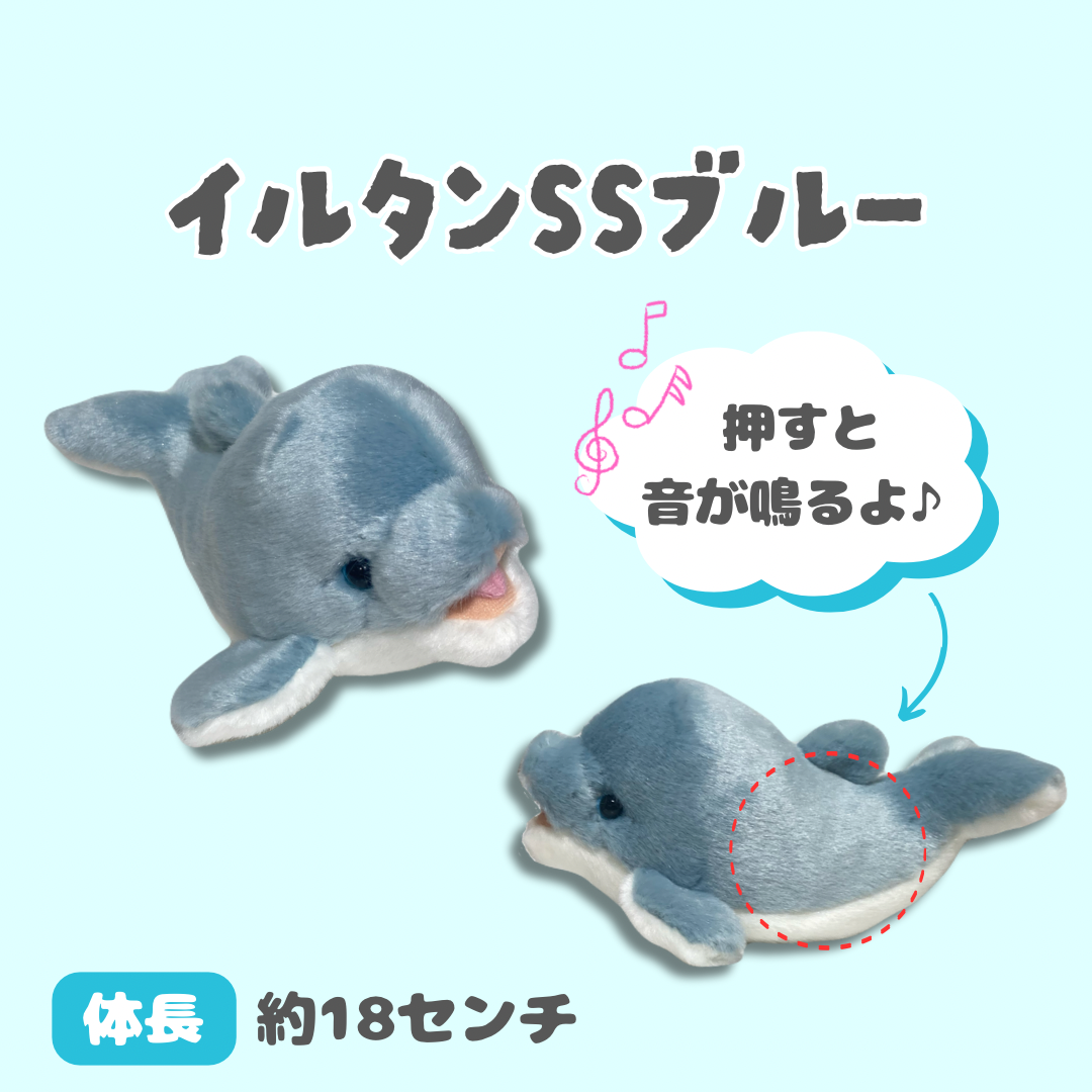 いるかのぬいぐるみです。 Cute Dolphin Plush Toys for Sale - Where to Find Them? | TikTok