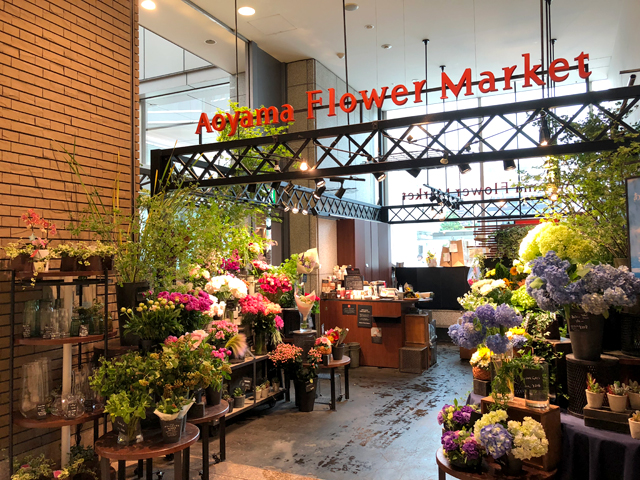 札幌駅近くで人気のお花屋さんまとめ フラワーギフトから観葉植物まで豊富な品揃え Pathee パシー