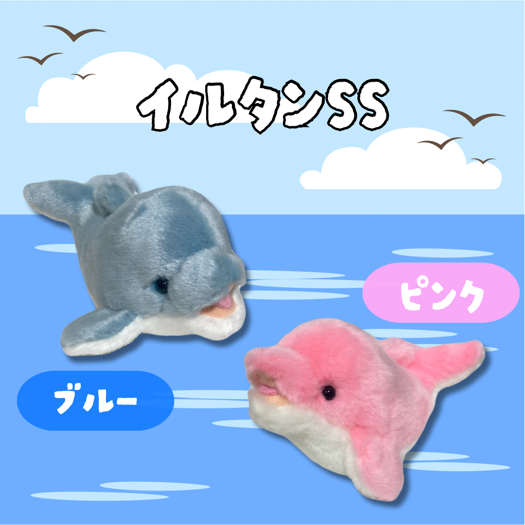 イルカぬいぐるみ 全国版 イルカぬいぐるみくじ まとめ - ぬいぐるみくじ発見紀
