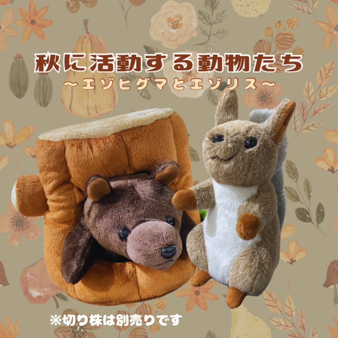 [未開封][限定]北海道札幌市懸賞　えぞリス　ぬいぐるみ　2体セット 未開封][限定]北海道札幌市懸賞 えぞリス ぬいぐるみ 2体セット 【公式