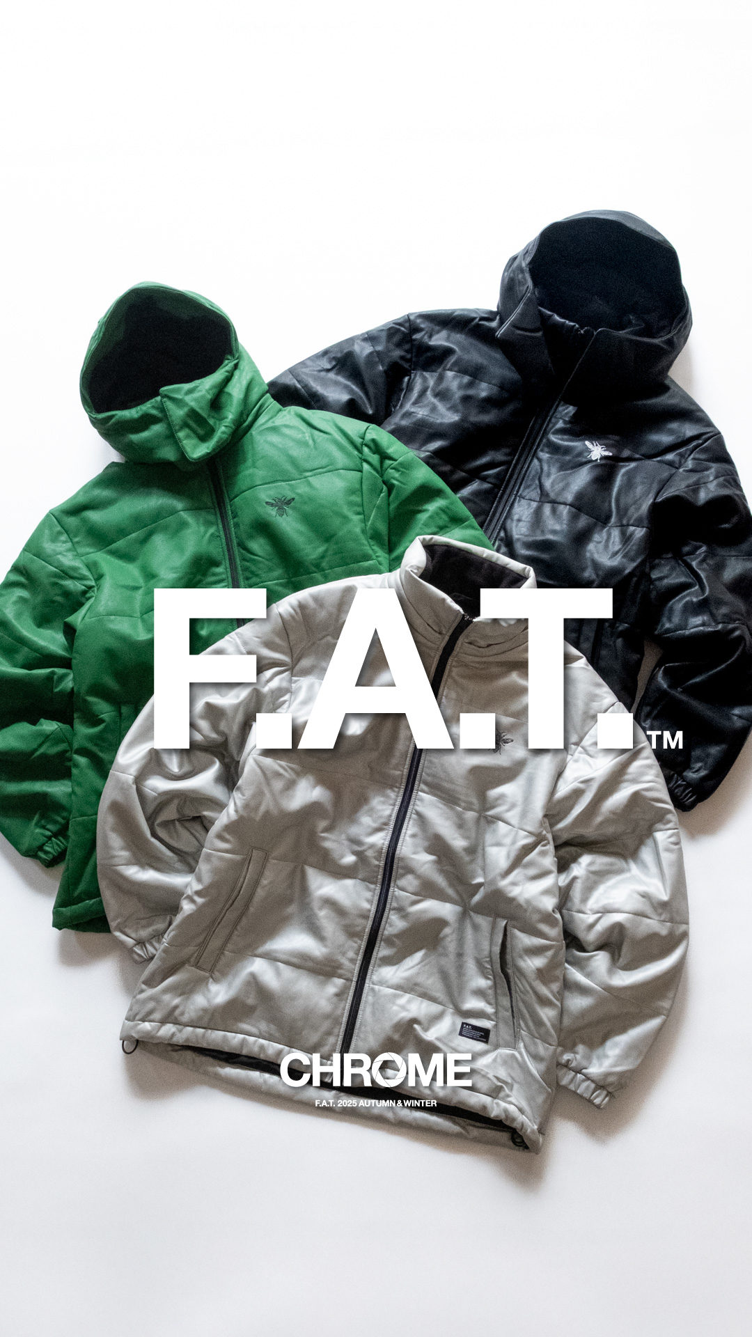 一般的なビーバー様 ビーバーLOCKS! SUPER BEAVER 2025.11.21 - YouTube