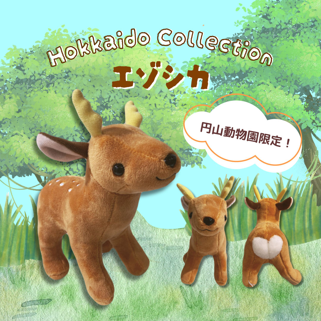 ミュージアムショップ ヴィア 北海道限定！！エゾリスのぬいぐるみ