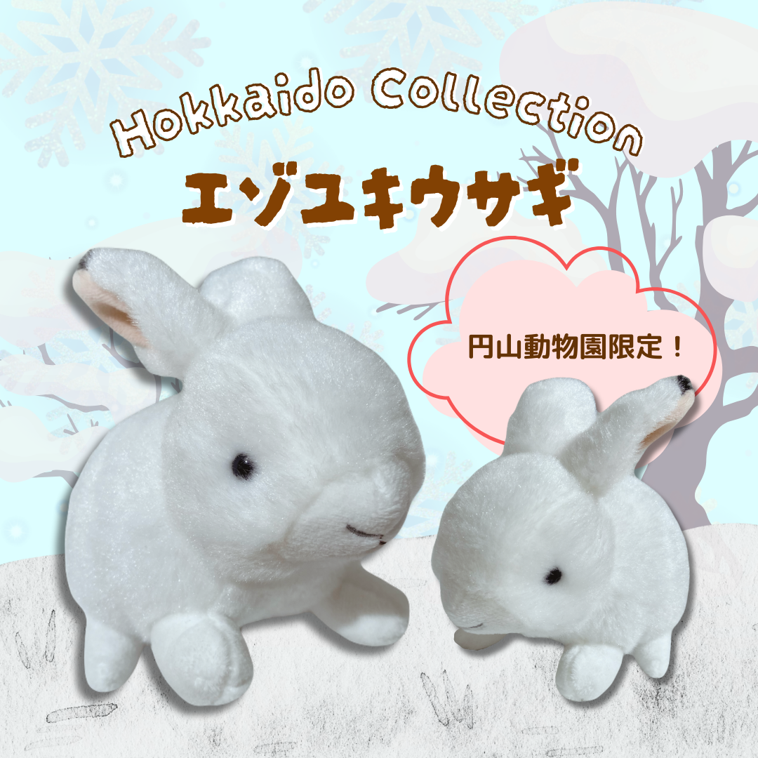 ミュージアムショップ ヴィア 北海道限定！！エゾユキウサギの