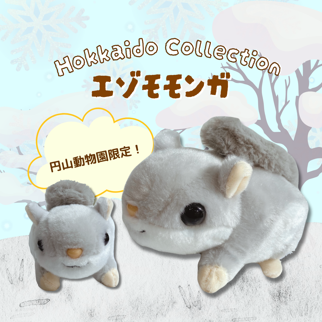 ミュージアムショップ ヴィア 北海道限定！！エゾモモンガのぬいぐるみ