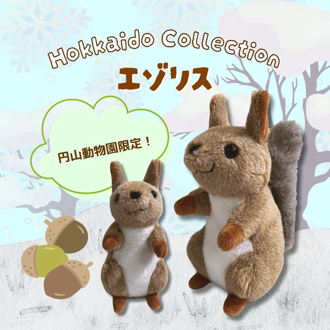 [未開封][限定]北海道札幌市懸賞　えぞリス　ぬいぐるみ　2体セット Amazon.co.jp: AQUA 北海道 コレクタブル 山動物園 ぬいぐるみ