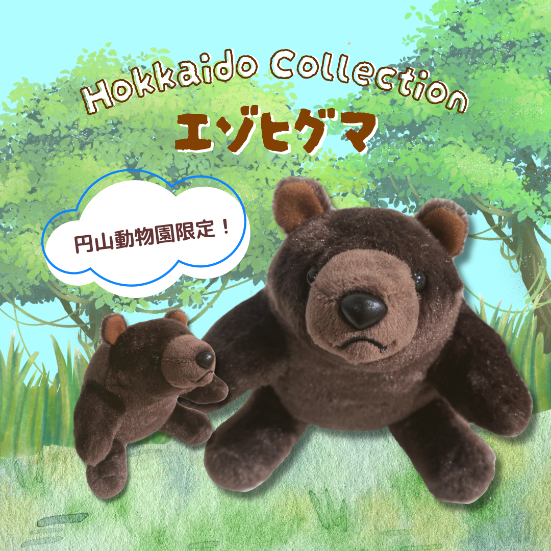 ミュージアムショップ ヴィア 北海道限定！！エゾヒグマのぬいぐるみ