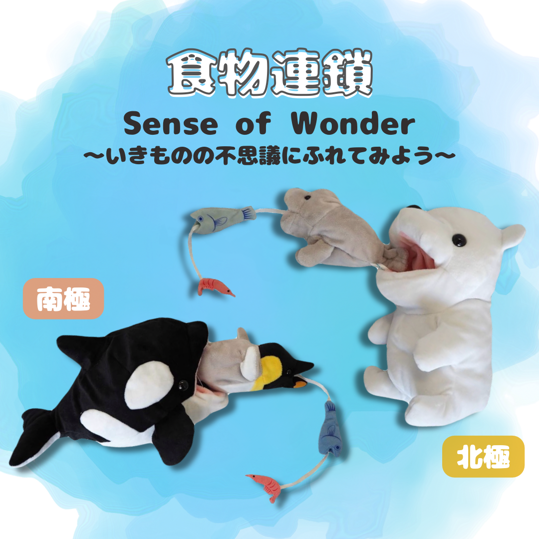 ミュージアムショップ ヴィア Sense of wonderシリーズ～食物連鎖