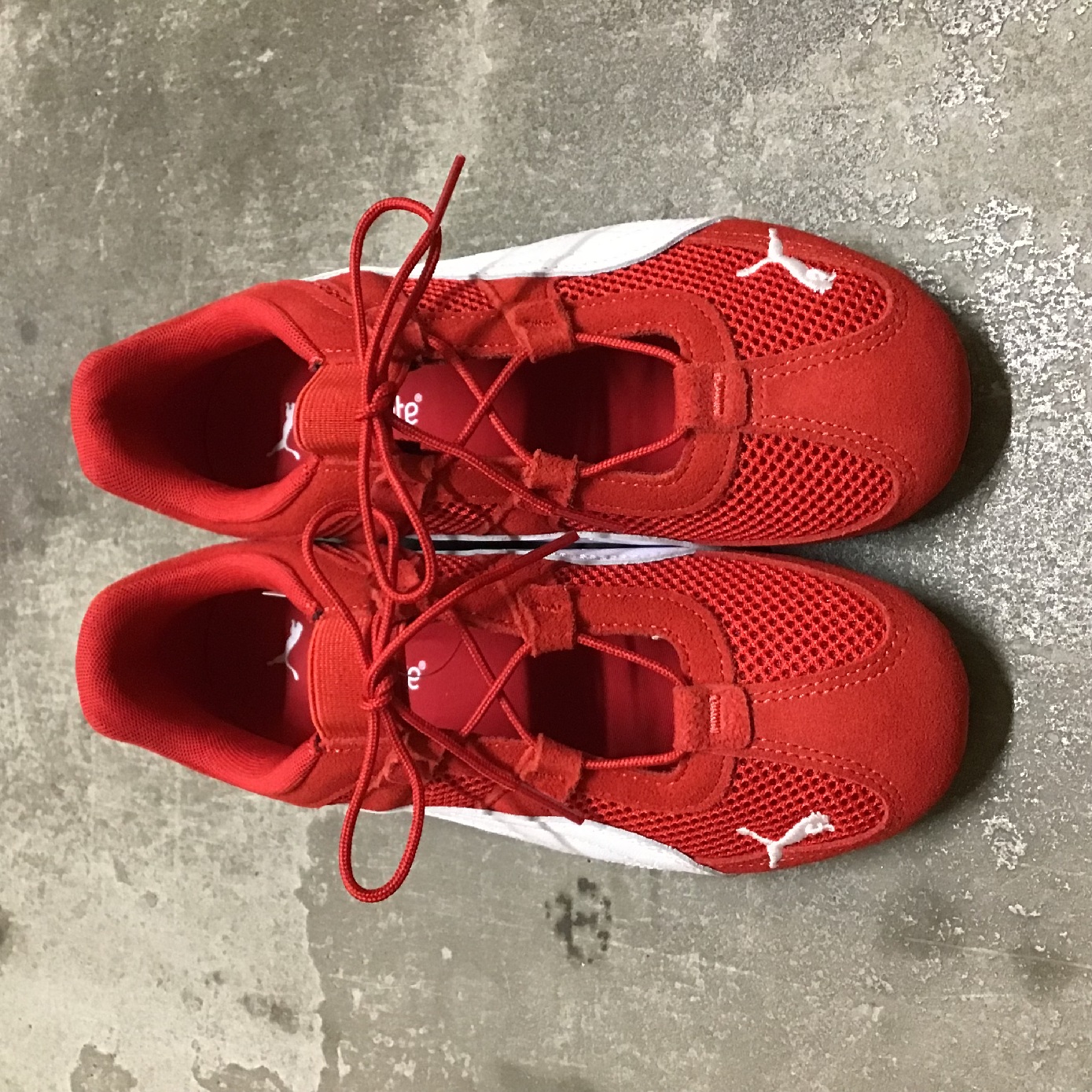 リファーレ メッシュタイプのPUMAスピードキャット①–ショップニュース
