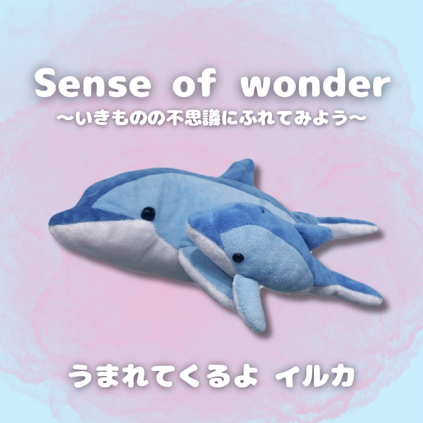 ミュージアムショップ ヴィア うまれてくるよシリーズ！イルカ親子のぬ