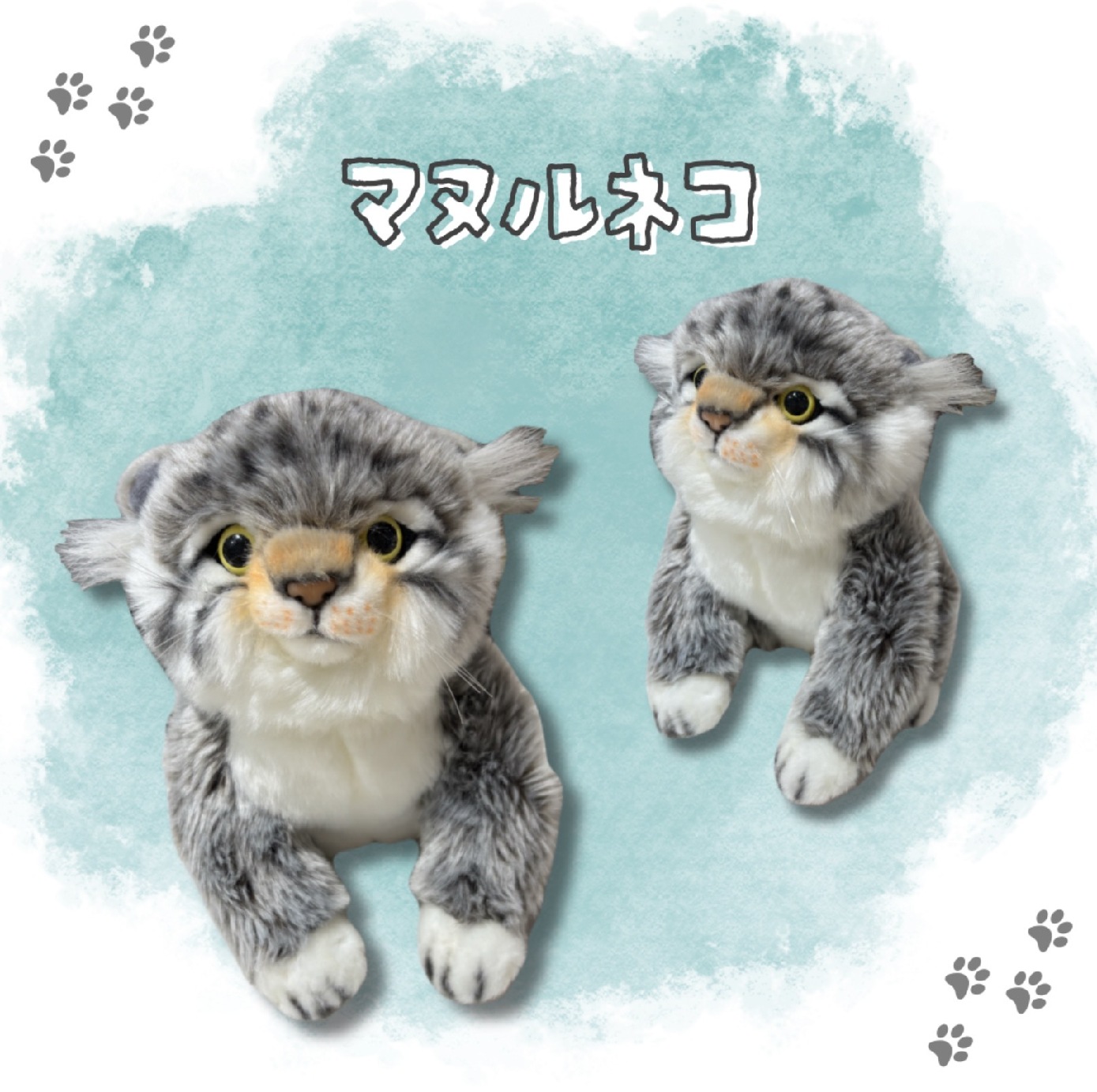 ミュージアムショップ ヴィア 【新入荷！】まるで本物！？マヌルネコの