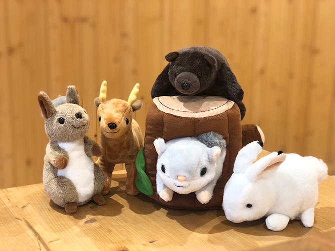 ミュージアムショップ ヴィア–ショップガイド–札幌ステラプレイス